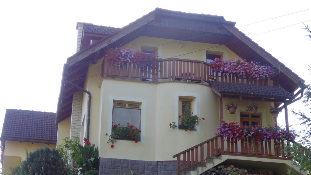 Apartman U Sarky Valaská Zewnętrze zdjęcie